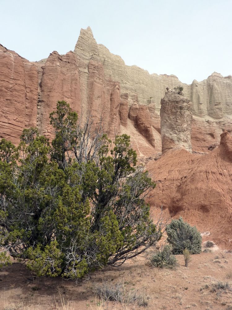 kodachrome basin (54).JPG
